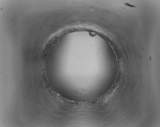 X0000073921494200609011756