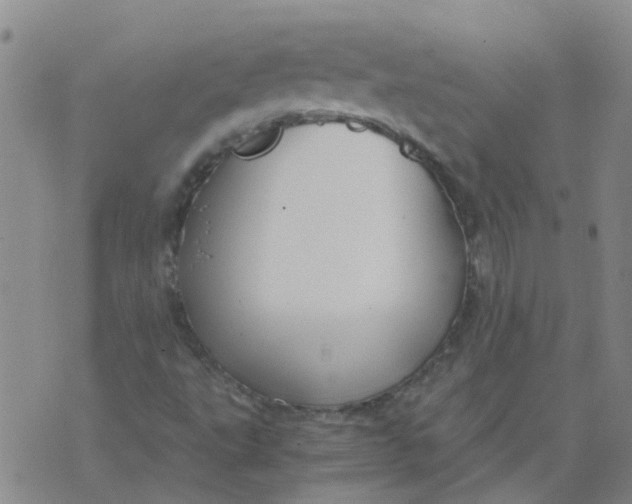 X0000073921495200609011756