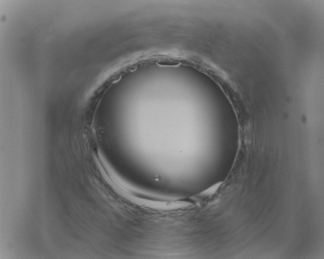 X0000073921496200609011756