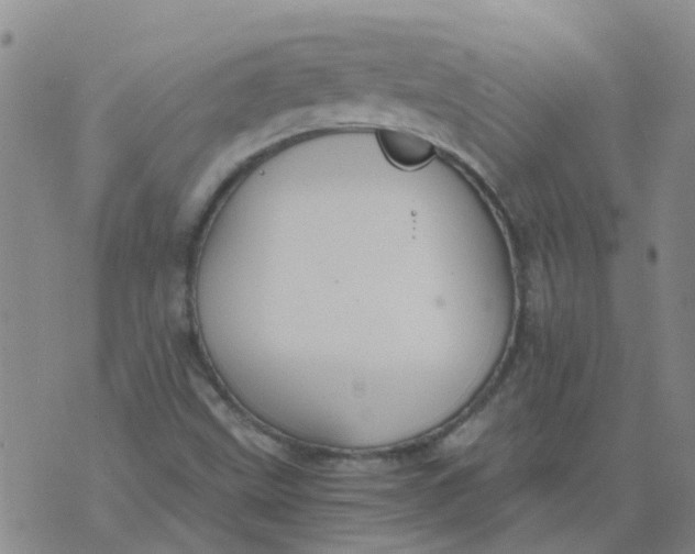 X0000073921499200609011756