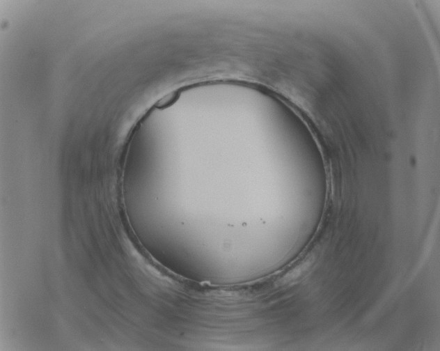 X0000073921500200609011756