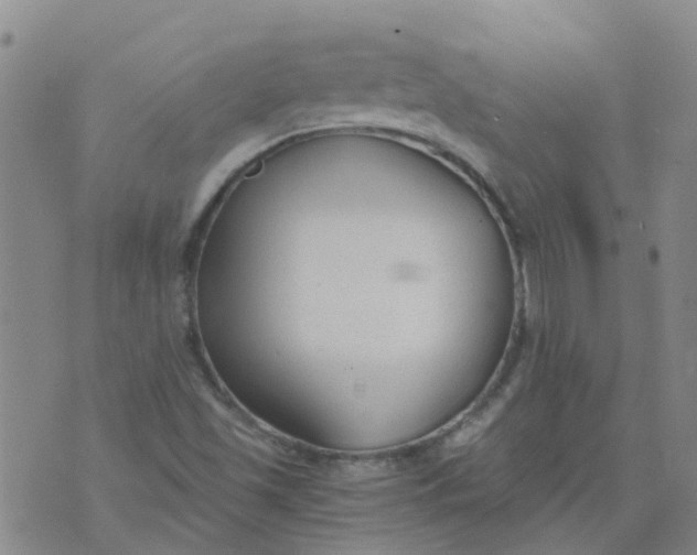 X0000073921501200609011756