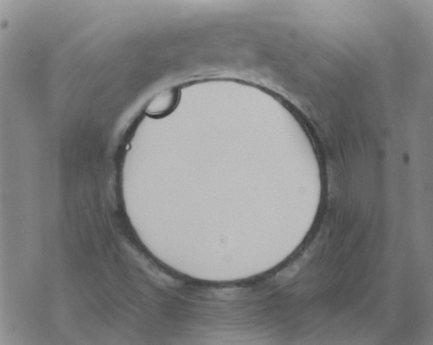 X0000073921502200609011756