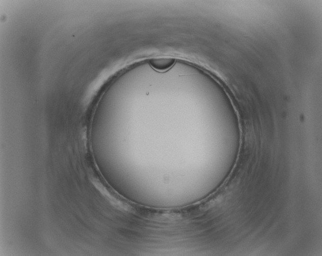 X0000073921503200609011756