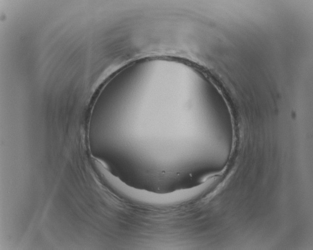 X0000073921505200609011756