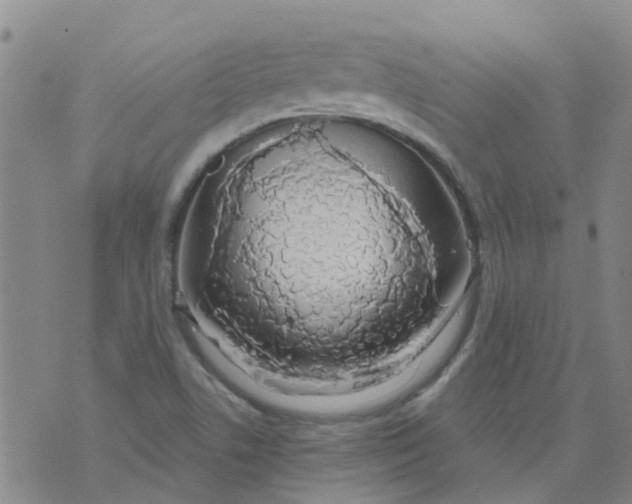 X0000073921506200609011756