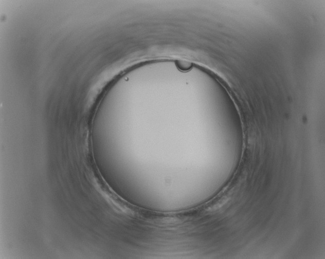 X0000073921507200609011756