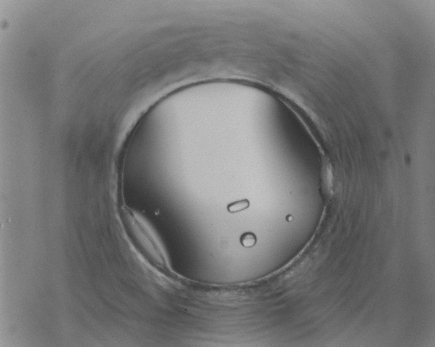 X0000073921508200609011756