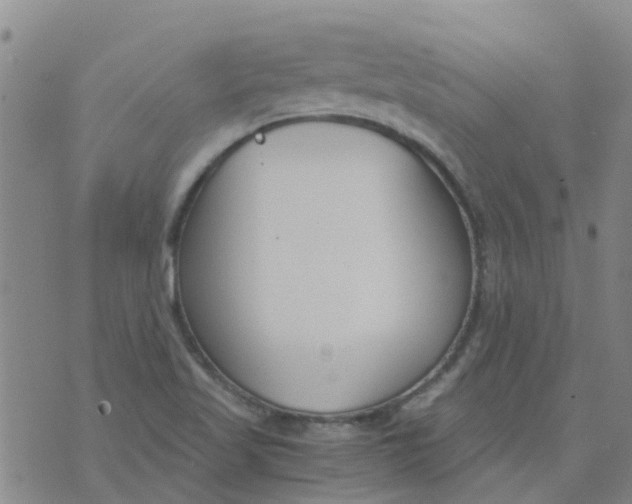 X0000073921509200609011756