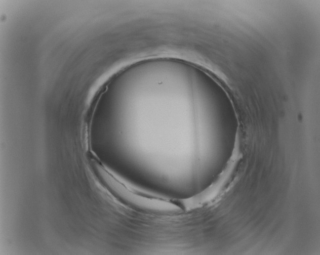 X0000073921510200609011756