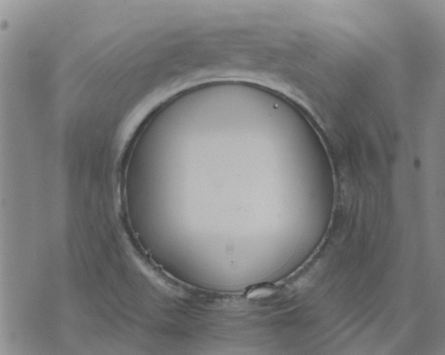 X0000073921511200609011756