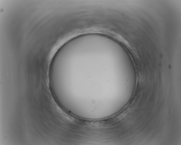 X0000073921512200609011756