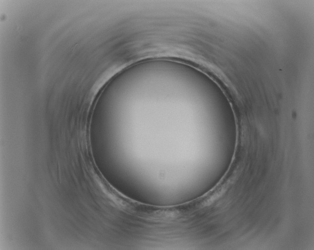 X0000073921513200609011756