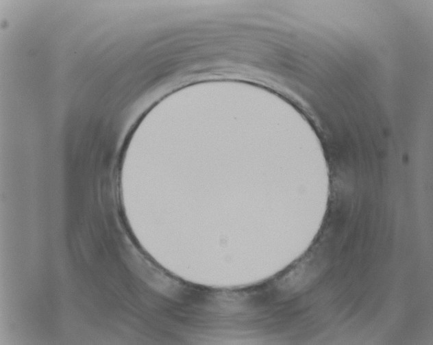 X0000073921514200609011756