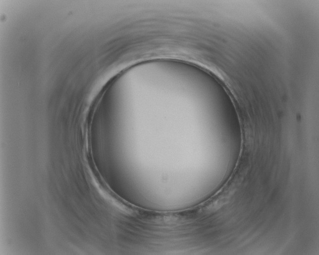 X0000073921515200609011756