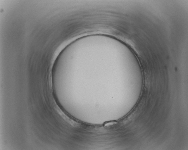 X0000073921516200609011756