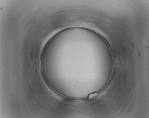 X0000073921517200609011756