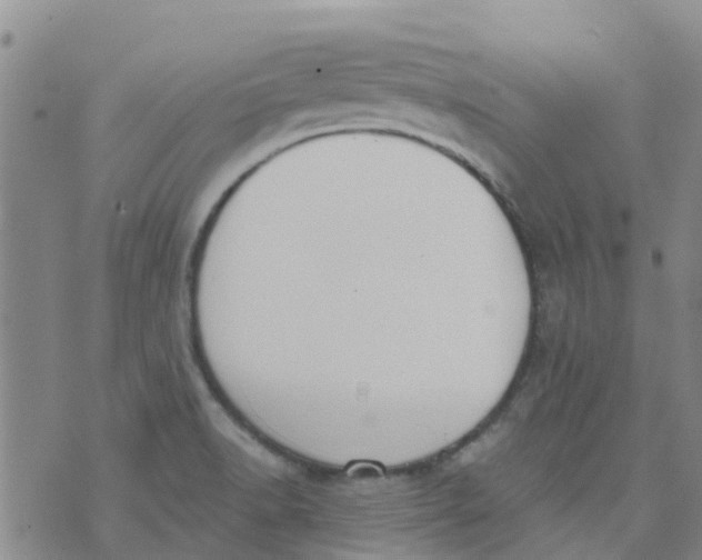 X0000073921518200609011756