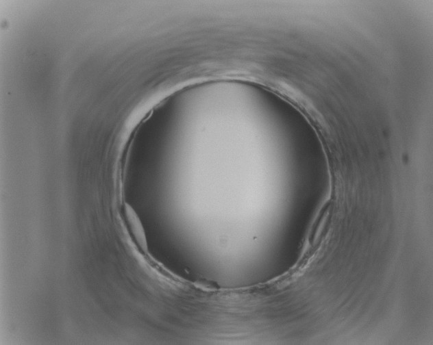 X0000073921520200609011756