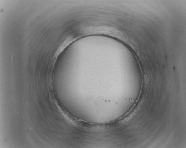 X0000073921521200609011756