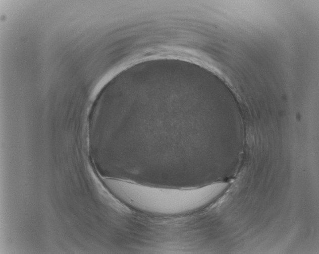 X0000073921522200609011756