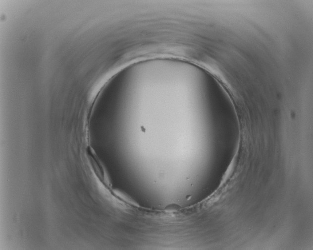 X0000073921524200609011756