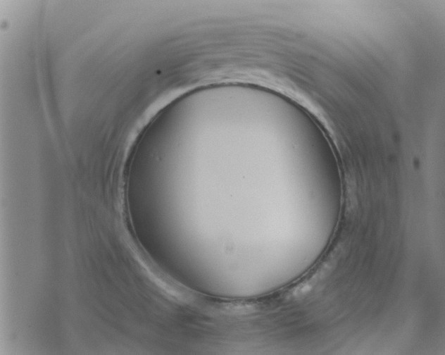 X0000073921525200609011756