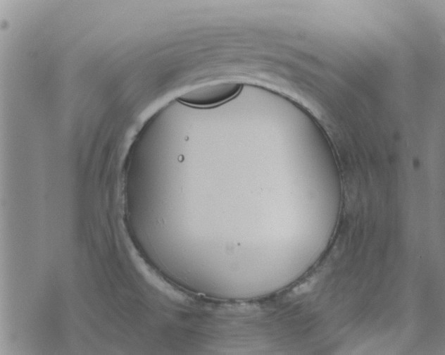 X0000073921526200609011756