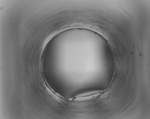 X0000073921527200609011756