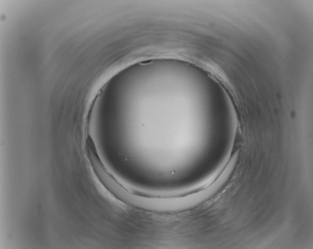 X0000073921528200609011756