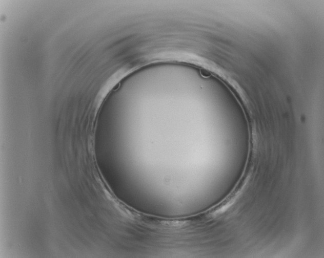 X0000073921529200609011756