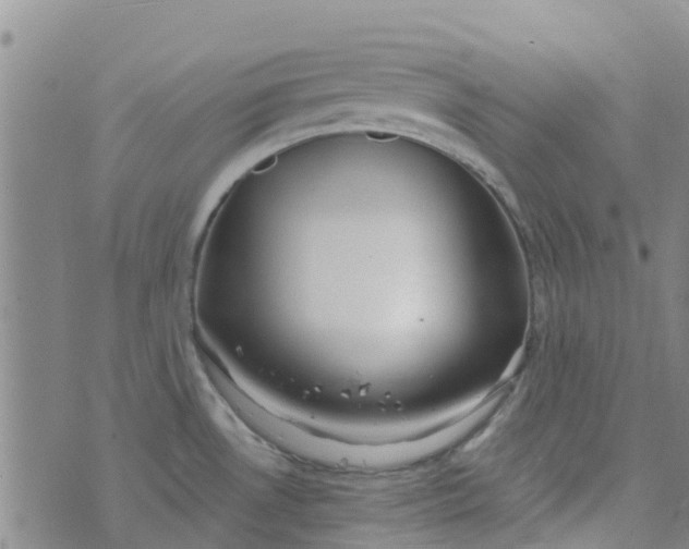 X0000073921530200609011756