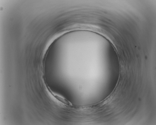 X0000073921531200609011756