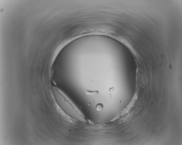 X0000073921532200609011756