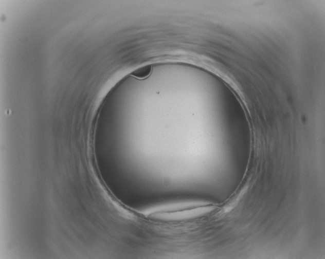 X0000073921533200609011756