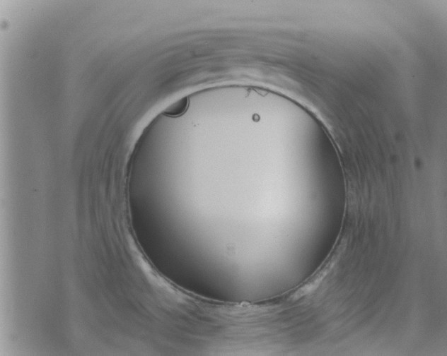 X0000073921534200609011756