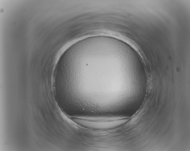 X0000073921535200609011756