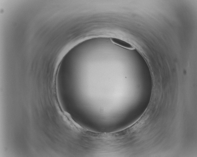 X0000073921536200609011756