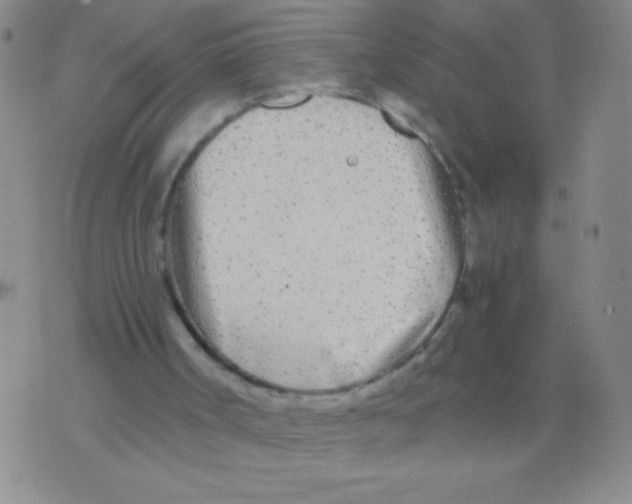 X0000073920002200609082249