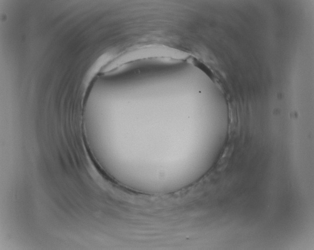 X0000073920003200609082249