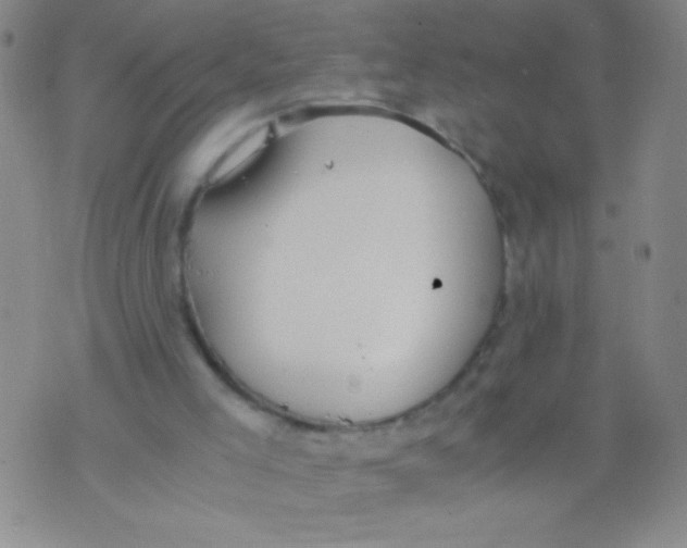 X0000073920005200609082249