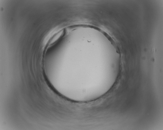 X0000073920007200609082249