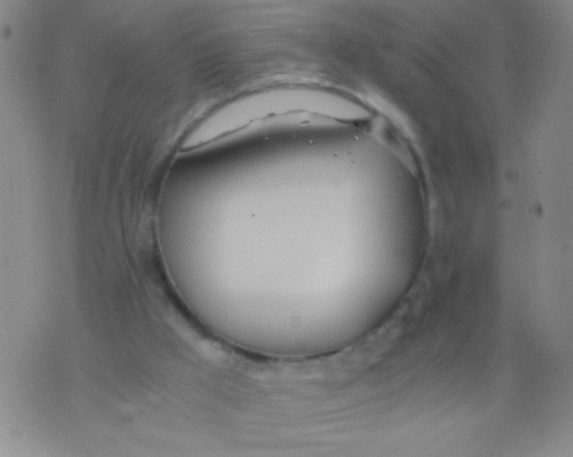 X0000073920009200609082249