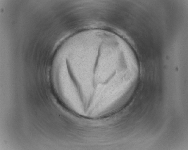 X0000073920010200609082249