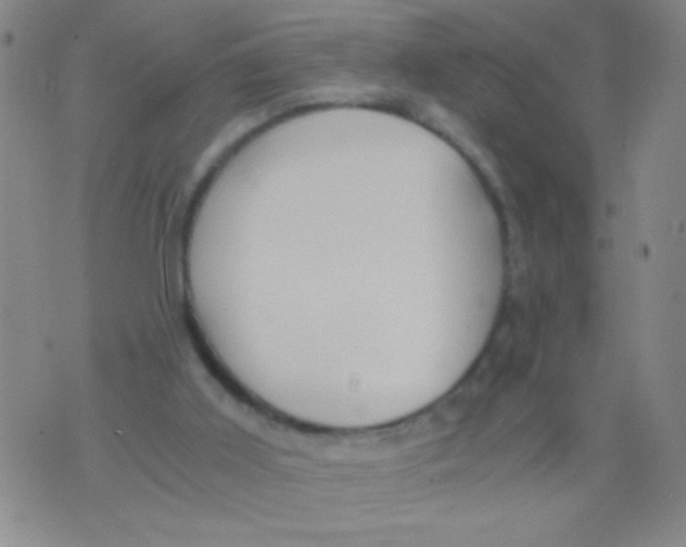 X0000073920011200609082249