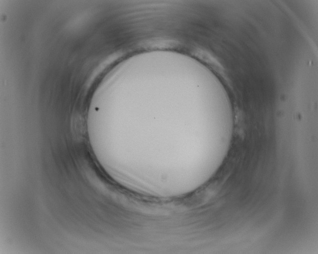 X0000073920012200609082249