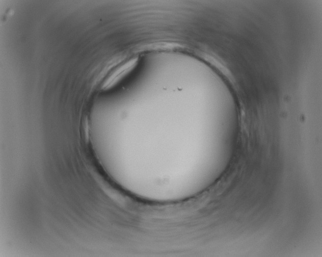 X0000073920013200609082249