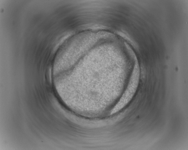 X0000073920014200609082249