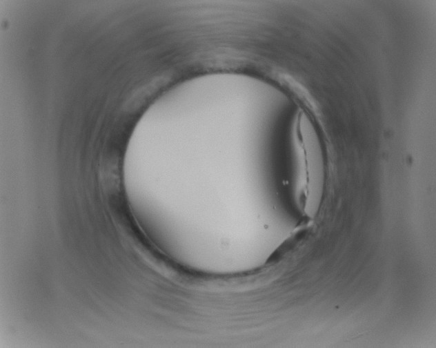 X0000073920017200609082249