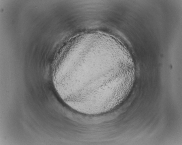 X0000073920018200609082249